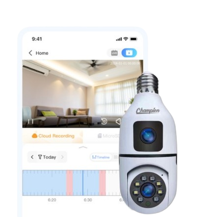 Energy Score